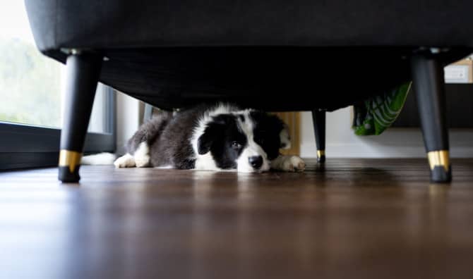 Meet an Innovative Fabric Creating Quiet