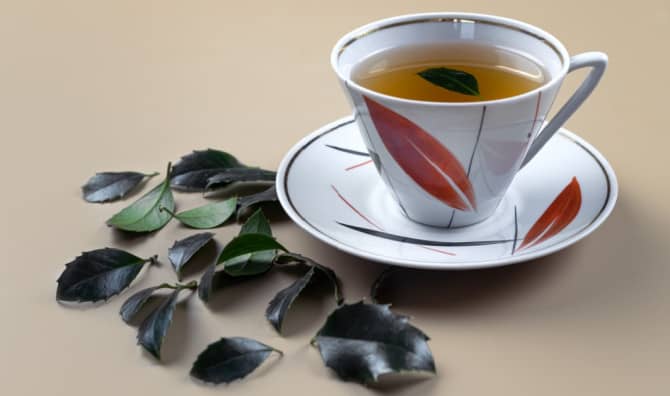 This Plant Could Replace Coffee!