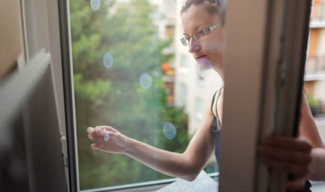 How to Keep Birds From Flying Into Windows