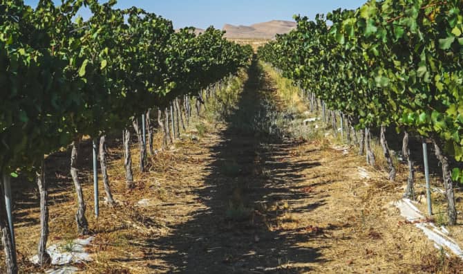 Cultivating Innovation in Israel’s Desert Frontier