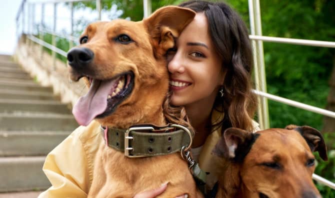 Celebrating National Dog Day 2024: Why Our Furry Friends Steal Our Hearts