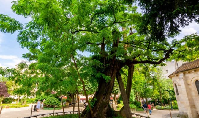 New Startup Turns Leaves into Paper