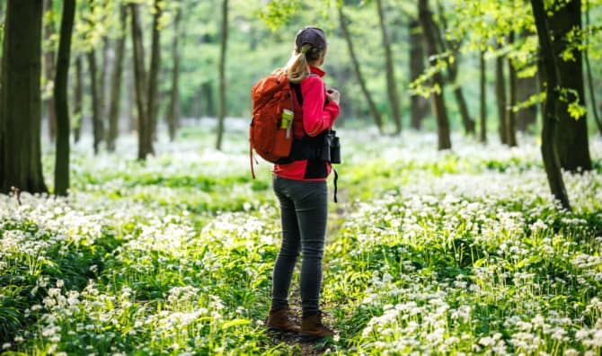 Healing Among the Trees: The Science and Serenity of Forest Therapy