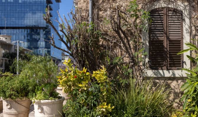 Tel Aviv’s Newest Cafes Serve Hope and Resilience