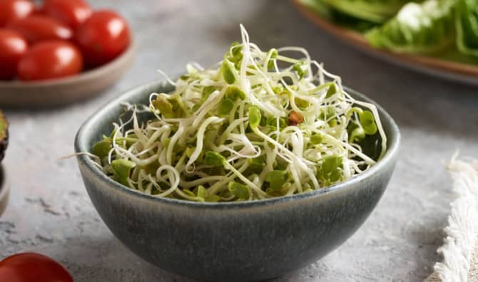 Sprouting is Trending