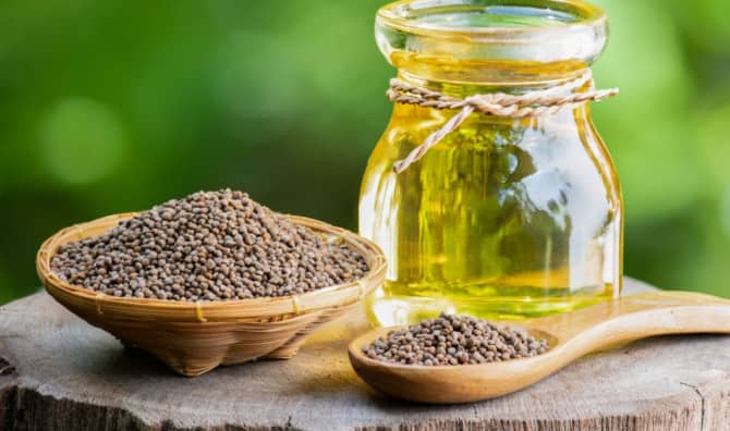 5 Ways to Promote Health With Perilla Oil