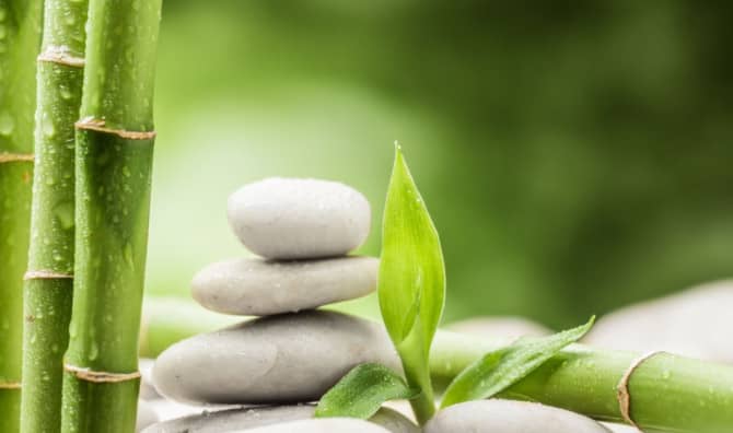 The Art of Daily Rituals: Elevate Your Routine, Elevate Your Life