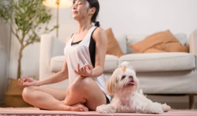 Puppies and Meditation Go Hand and Paw