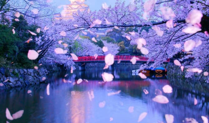 Find Joy in Life’s Ephemeral Moments With Mono No Aware