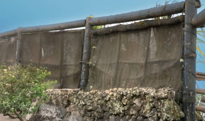 How Fog Harvesting Could Bring Water to the World’s Driest Places