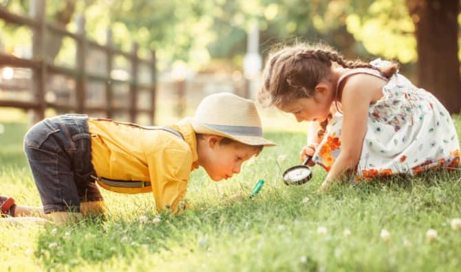 Exploring the 3 Styles of Curiosity