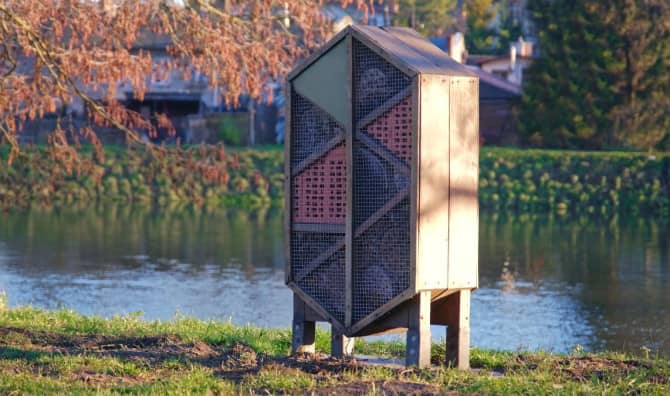 The ‘Bee Man’ is Helping Native Bees One Hotel at a Time