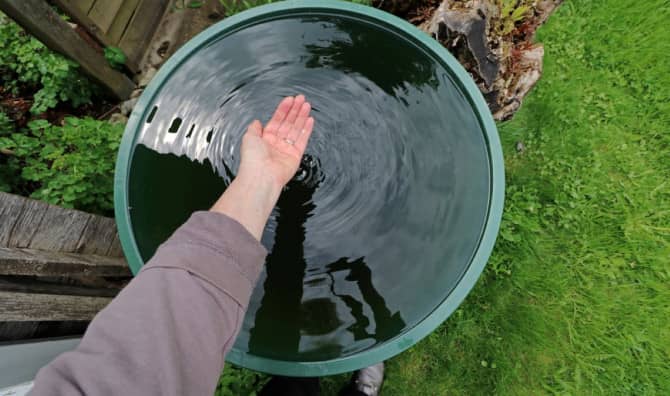 Nonprofit Turns Rainwater Into Drinking Water for Schools