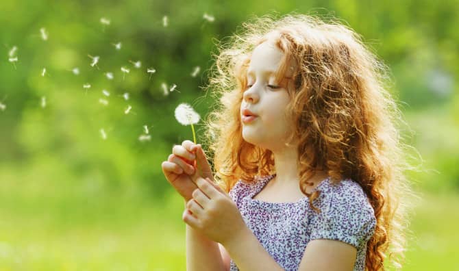 Can You Catch Summer on Film?