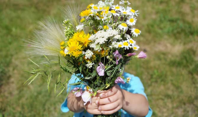 5 Pieces of Evidence that People are Awesome