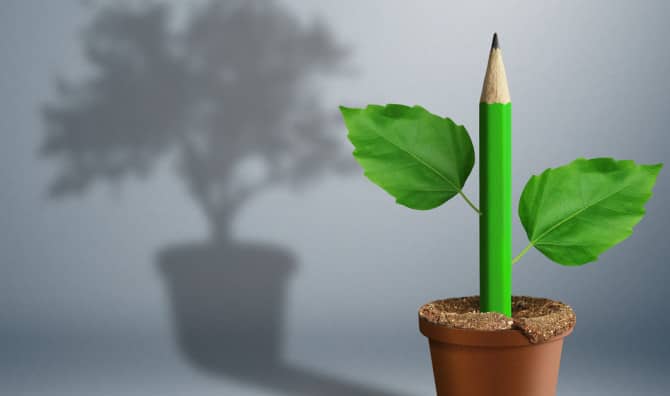 The Pencil that Grows into a Plant