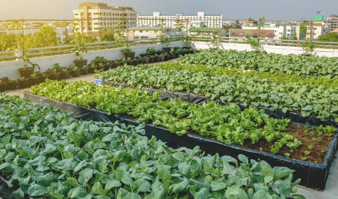 7 Urban Farming Initiatives to Inspire Your Inner Gardener [LIST]