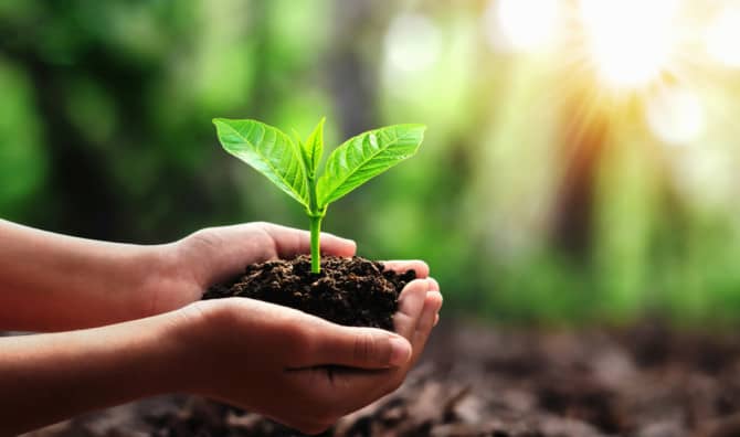 9 Easy and Fulfilling Things You Can Do for the Planet Today [LIST]