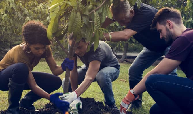 5 Stellar Environmental Volunteer Opportunities