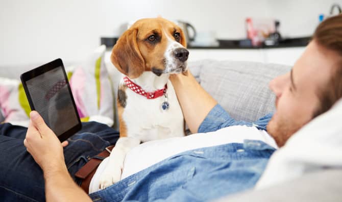 5 Social Network Sites for Pet Lovers