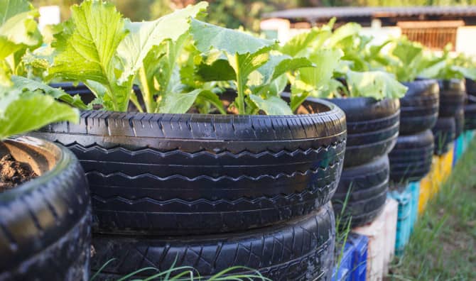 7 Tips to Take Your Recycling to the Next Level [LIST]