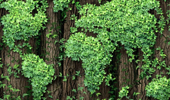 Top Five Greenest Countries in the World [LIST]