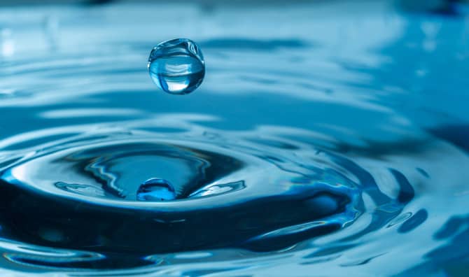 The Edible Water Bottle You Can Make at Home