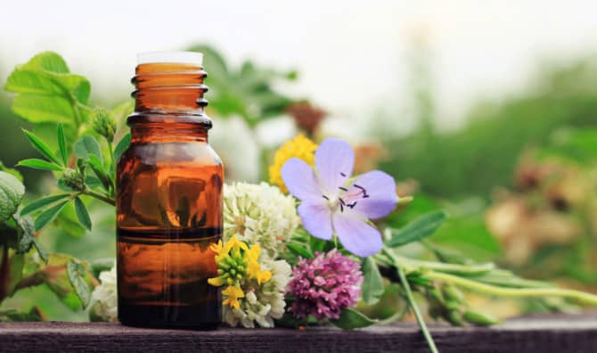 What Does Your Scent Say About You? [QUIZ]