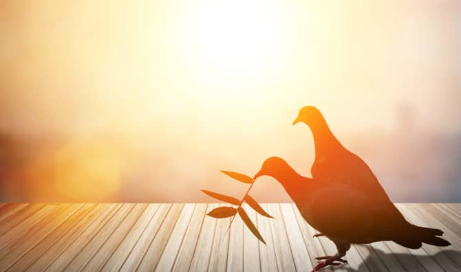 TED Talk of the Week: The World Peace Game