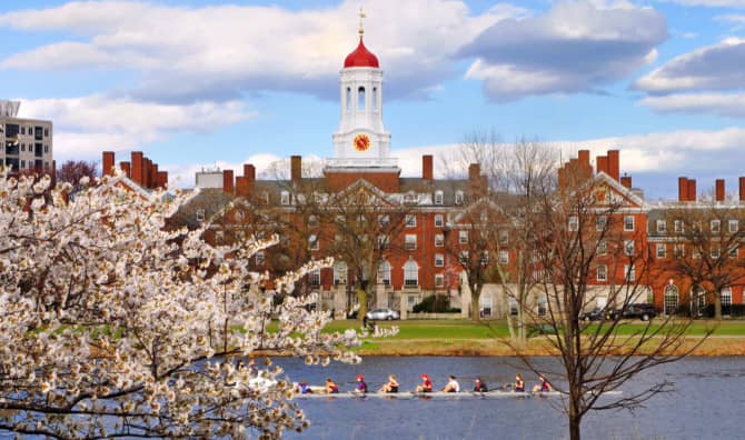 Riverside cityscape with white blooming cherry blossom trees, brick buildings, and a church with white spire reflected in blue water during spring.