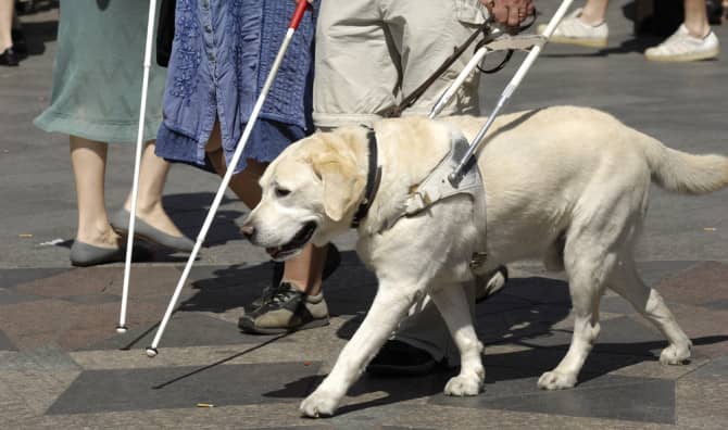5 Initiatives Giving Sight to the Visually Impaired