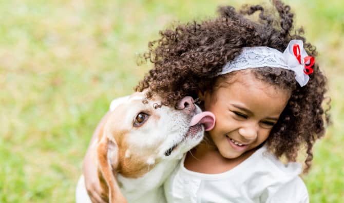 4 Online Tools to Help You Adopt the Pet of Your Dreams