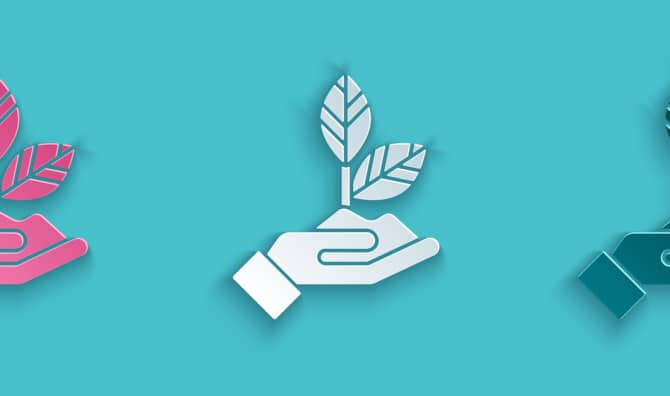 5 Green Products You Can Use Now and Plant Later