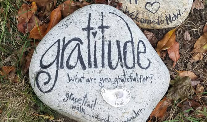 TED Talk of the Week: Nature. Beauty. Gratitude