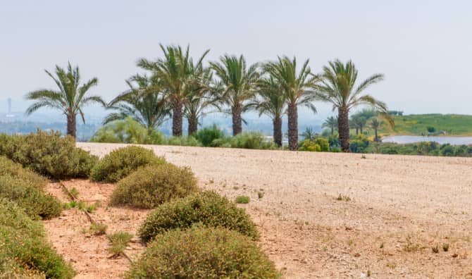 6 Landfills Transformed into Green Spaces