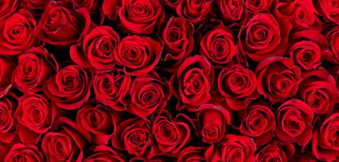 15 Valentine’s Day Songs to Spread the Love [PLAYLIST]