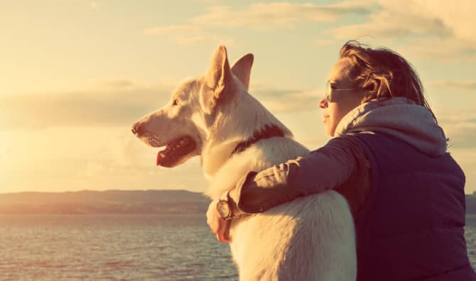 9 Cool Dog Facts That Explain Why They’re Man’s Best Friend