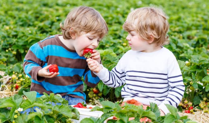 9 Reasons Why Humans Are Inherently Good