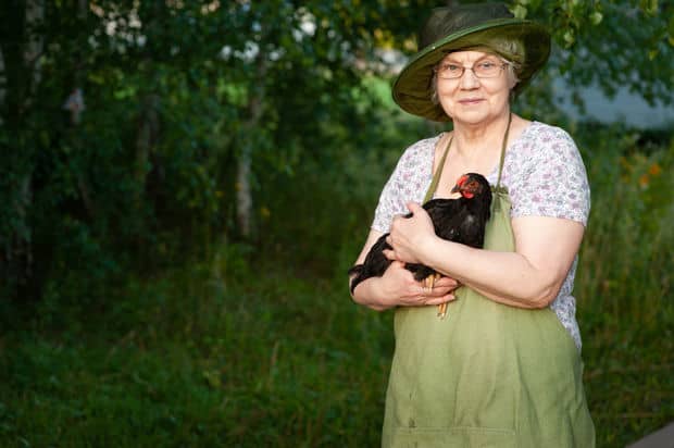 How Chicken Therapy Can Tackle Loneliness Among the Elderly