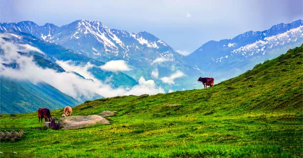 How to Reduce Your Impact on Earth, According to Science