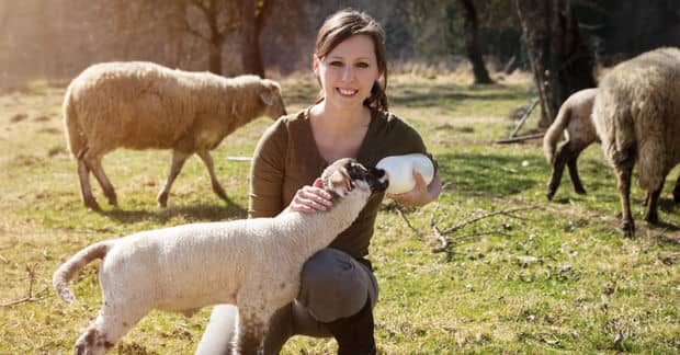 This Awards Ceremony Honors the Biggest Animal Heroes