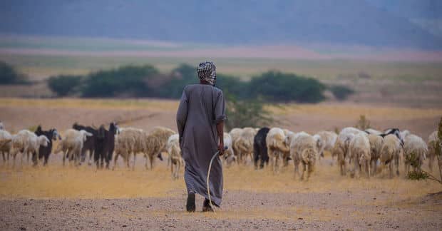 Traditional Farming Techniques Are Stopping Desertification