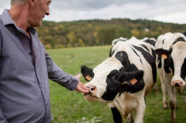 This Cattle Farmer Went Vegan After Bonding With His Cows