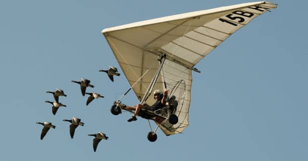The Birdman of the Skies Who Keeps Orphaned Birds Flying