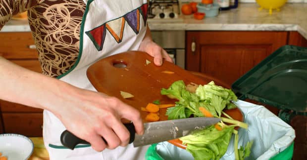 Turn Your Kitchen Scraps Into Compost With This Food Recycler