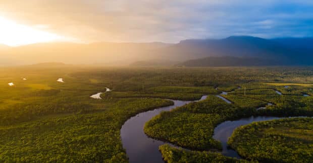 This Couple Planted 2.7 Million Trees to Rescue a Destroyed Forest