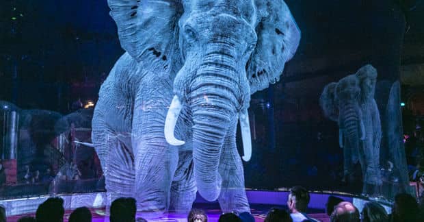 This German Circus Uses Cruelty-Free Holograms Instead of Animals