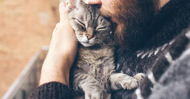 Just Ten Minutes With Cats or Dogs Can ‘Significantly’ Reduce Stress