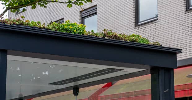 Dutch City Turns Bus Stops into Bee Stops