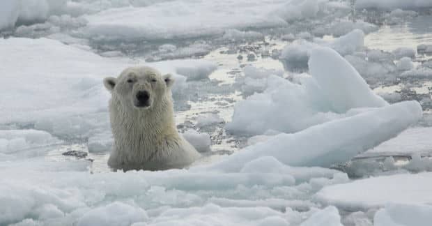 Canada Creates Conservation Area to Protect Arctic Lands and Waters